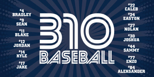 310 Baseball 12U banner