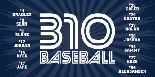 Custom Ball Team Pins - 310 Baseball 12U banner example